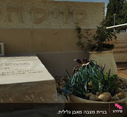 מצבות עם כתובות בעברית וצמחים בעציצים